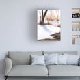 thumbnail image 3 of Grace Popp 'Snowland I' Canvas Art, 3 of 3