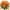 8 Pcs Orange, variant on SLYNSHome 8 Bundle Artificial Flowers Silk Fake Flowers with Stems,Realistic Pansy Bouquets for Home Outdoor Decorations Floral Arrangements Party Home Table Decor