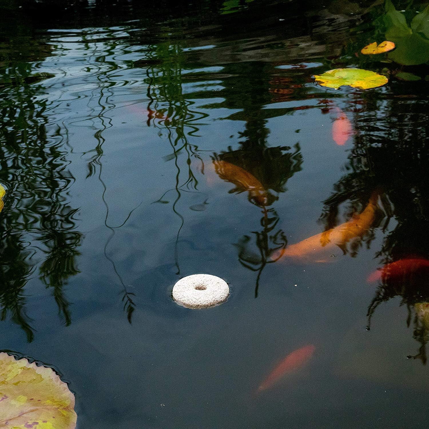 Mosquito Dunks Biological Mosquito Control, Kills Mosquitoe Larvae 6 Pack