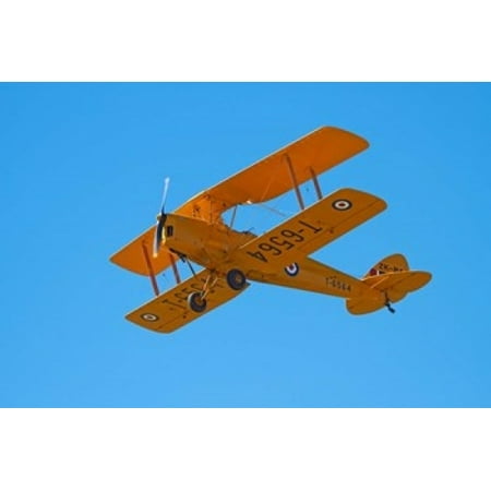 De Havilland DH 82A Tiger Moth Biplane Warbirds over Wanaka Airshow New Zealand Canvas Art - David Wall DanitaDelimont (36 x 24)