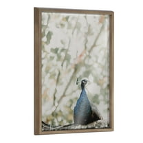 Blake Peacock 18 in x 24 in Framed Photography Art Prints, by Kate and Laurel