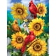 thumbnail image 2 of (ZQS032-AB) Diamante AB parcial Diamante Girasol Cardenal Serie animal Diamante Resina 30 * 40 CM Tamaño del lienzo 35 * 45 CM, 2 of 9