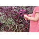 thumbnail image 2 of Repelente Natural BabyTree para Bebés y niños Protección Segura contra Mosquitos e Insectos, 2 of 3