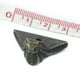 thumbnail image 5 of Protector de esquina Macarena 4 Uds bronce adornado, 5 of 5