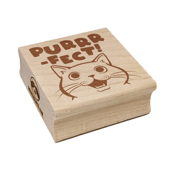 Purrrfect Perfect Cat Square Rubber Stamp Stamping Scrapbooking Crafting - Large 2.75in