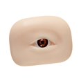 thumbnail image 3 of Xuanheng 3D Silicone Eye Model Eyebrow Line Practice Multipurpose Makeup Practice Aid brown left, 3 of 8