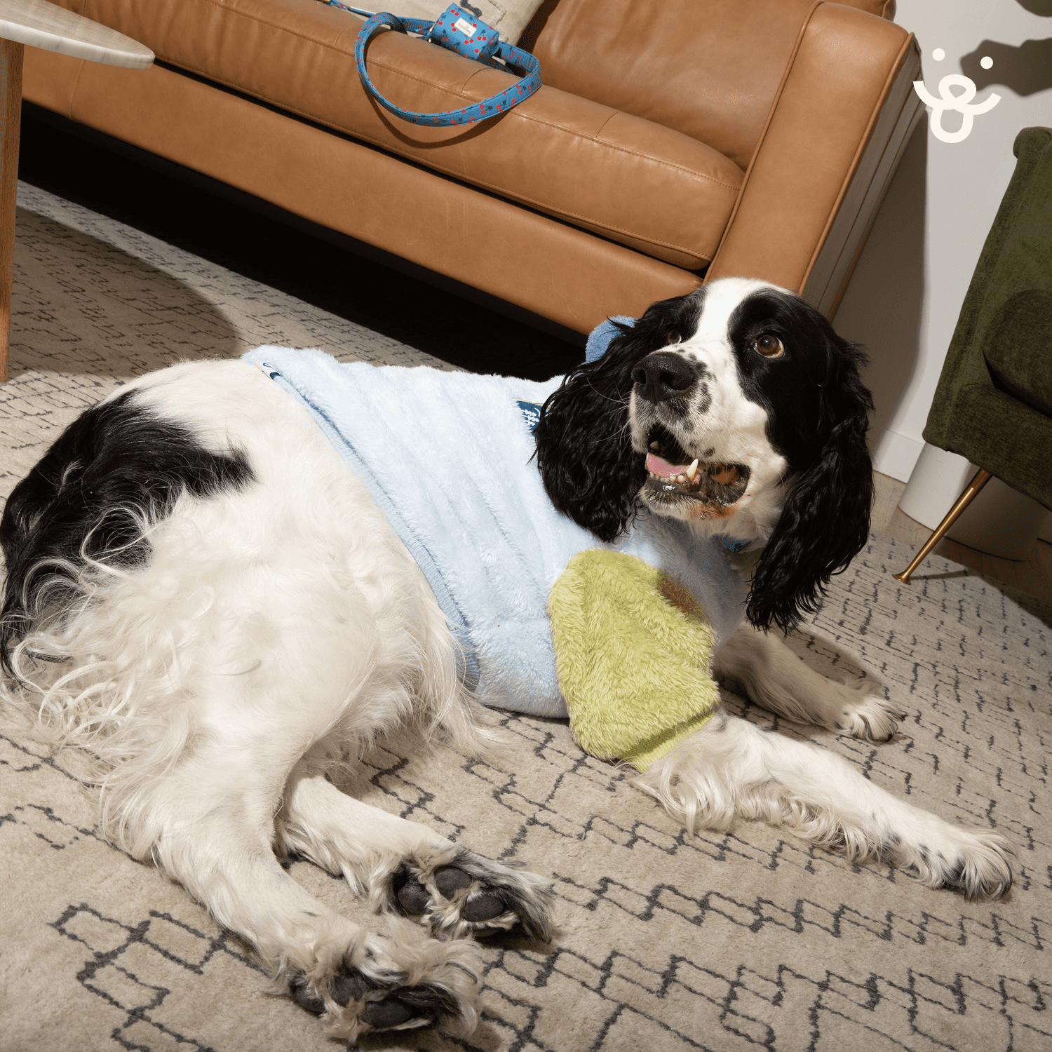 Oodles Fall Multi-Colored Adventure Pup Bubble Hem Sherpa Dog Hoodie, XS