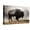 Canvas, variant on Art.com Bison in Mist, Upper Geyser Basin Near Old Faithful, Yellowstone National Park, Wyoming Stretched Canvas Print Wall Art by Adam Jones, 18" x 12"