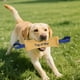 thumbnail image 4 of Juguete resistente para perros medianos y grandes, ideal para tirar, entrenar cachorros y jugar de forma interactiva. Juguetes interactivos de guerra para perros que muerden con fuerza., 4 of 6