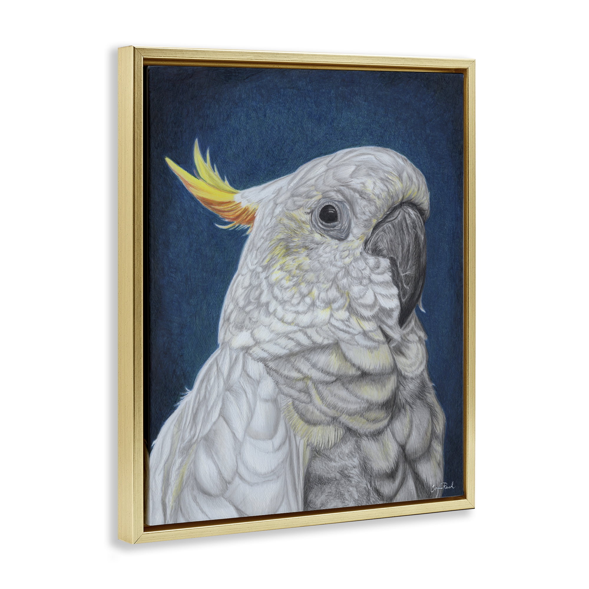 Stupell Industries Traditional Cockatoo Visage Animals & Insects Painting Gold Floater Framed Canvas Art Print Wall Art, 25 x 31