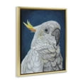 thumbnail image 4 of Stupell Industries Traditional Cockatoo Visage Animals & Insects Painting Gold Floater Framed Canvas Art Print Wall Art, 25 x 31, 4 of 10