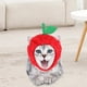 thumbnail image 2 of Sombrero para perro gato Zulema invierno disfraz divertido Manzanas, 2 of 8