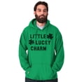 thumbnail image 5 of St Patricks Day Little Lucky Charm Hoodie Sweatshirt Women Men Brisco Brands S, 5 of 6