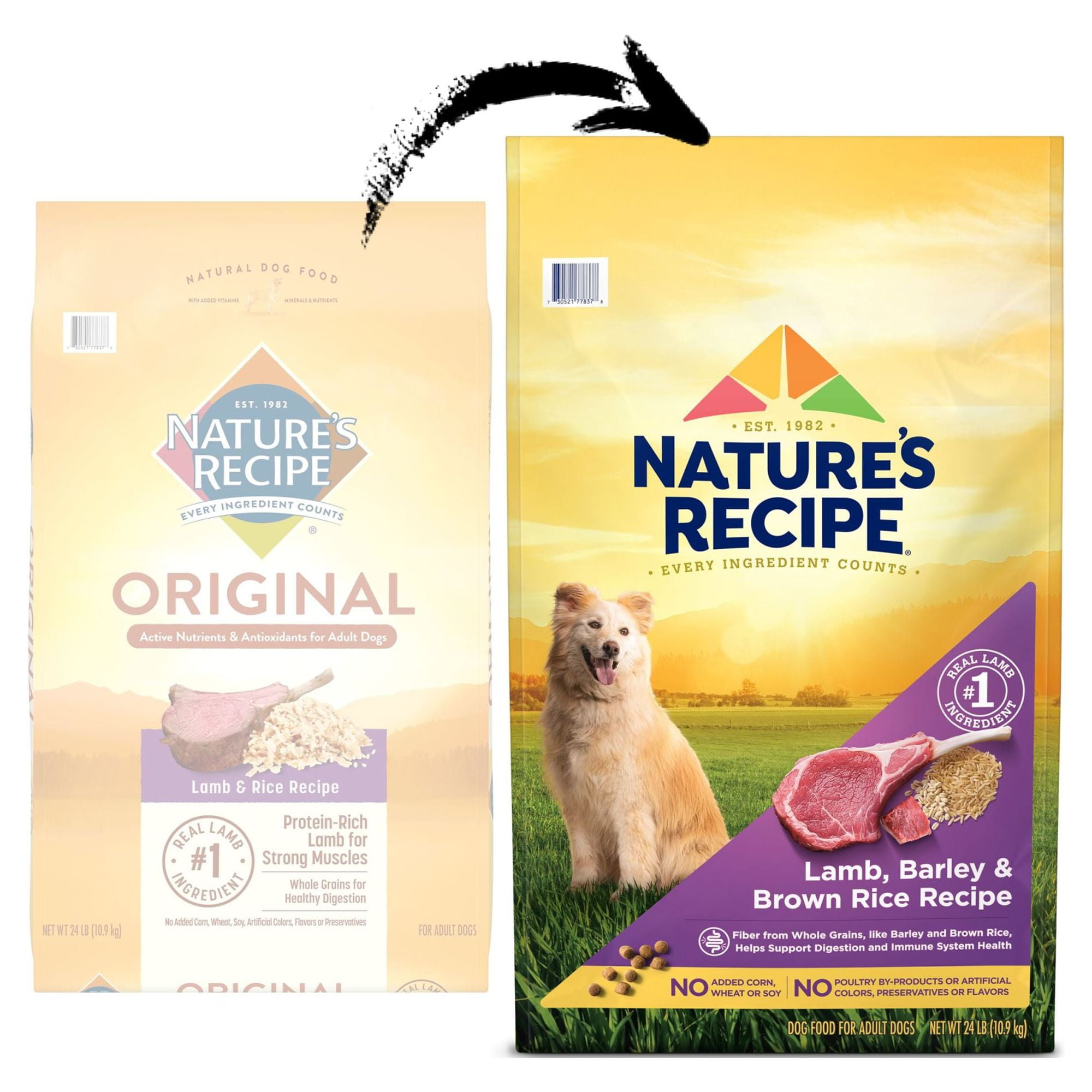 Nature’s Recipe Original Dry Dog Food for Adult Dogs, Lamb & Rice