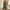 Army Green, variant on HOMBOM Army Green Women Jumpsuits and Rompers Elegant Sleeveless Rompers Round Neck Solid Color Jumpsuit Shorts 3XL