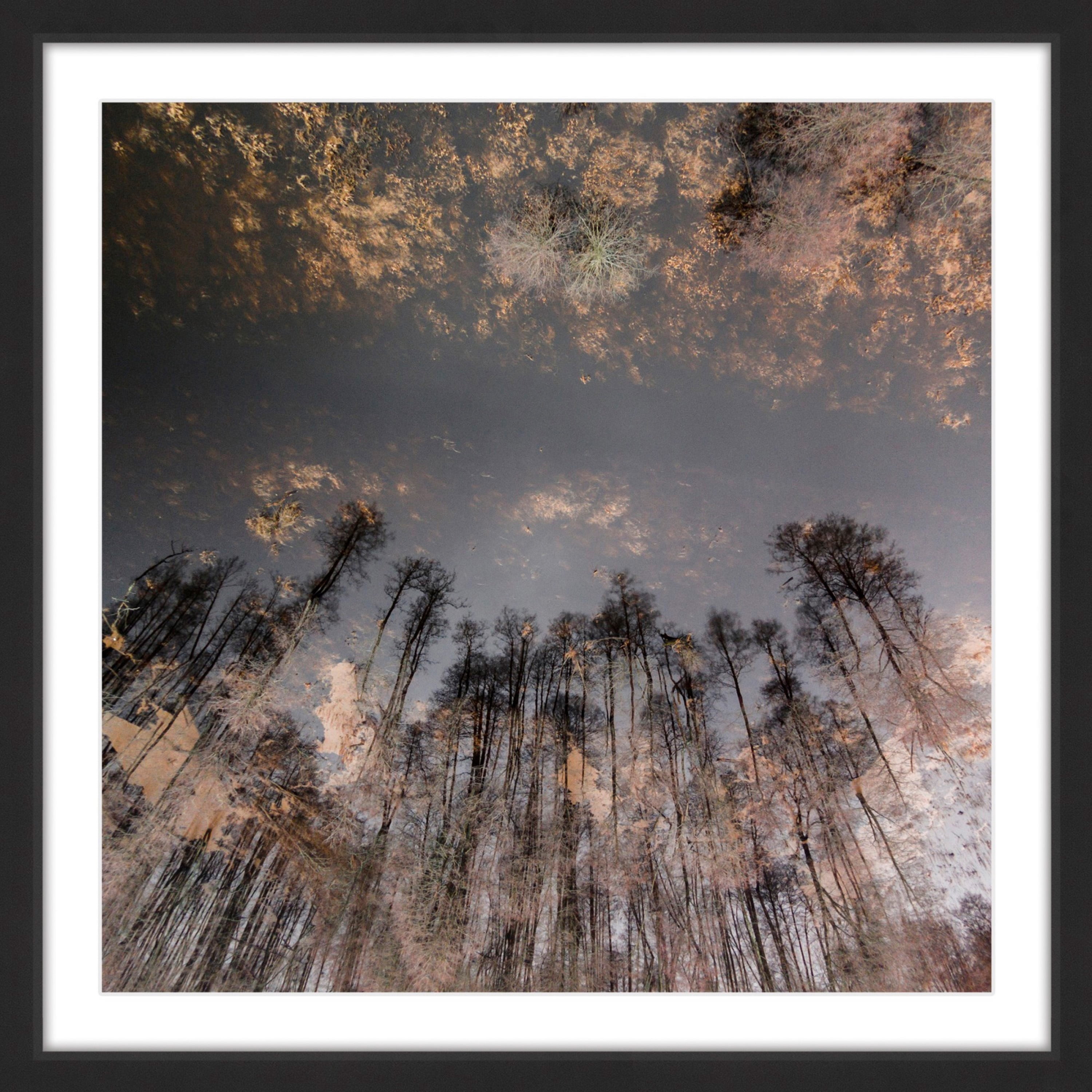 Marmont Hill "To the Sky" by Karolis Janulis Framed Painting Print