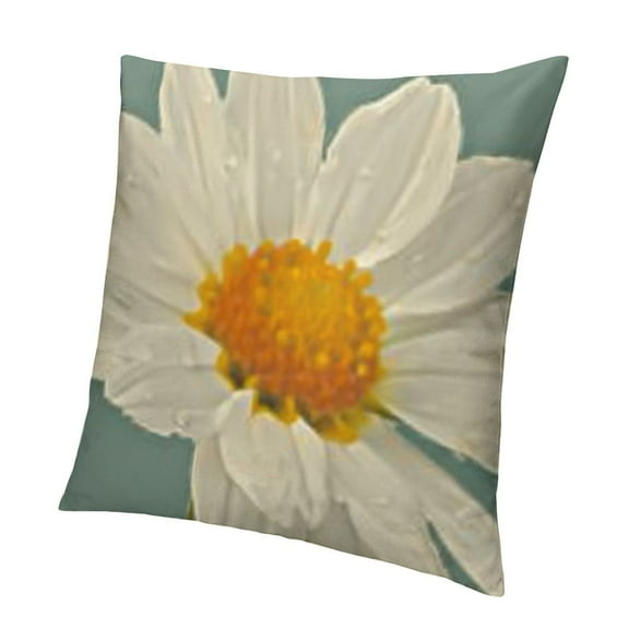 BANET  Light Blue  Lumbar Throw Pillow Covers Outdoor Spring Summer Decorative Cushion Cases Home Décor Decorations for Patio Couch Chair Sofa,Daisy Floral Gnomes White