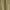 Green Mist, variant on Scoop Women’s and Women's Plus Eyelet Harem Cotton Pants, Sizes XS-4X