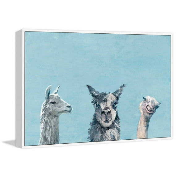 Llama and Ostrich Groove Floater Framed Painting Print on Canvas