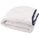 thumbnail image 1 of Colchoneta Spring Air Colchoneta COMFORT PROTECTOR Individual, 1 of 3