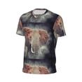 thumbnail image 6 of Wukai Elephant in Smoke Print Men's Short-Sleeved Mesh T-Shirt,Quick-Dry Short Sleeve Workout T-Shirt-6X-Large, 6 of 8