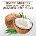 thumbnail image 3 of Champú BioSilk Silk Therapy con aceite de coco orgánico 355 ml, 3 of 5