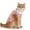 Pink, variant on Post Recovery Cat E Collar Alternative Soft Protective Wear for Grooming Aftercare and Comfortable Pet Apparel