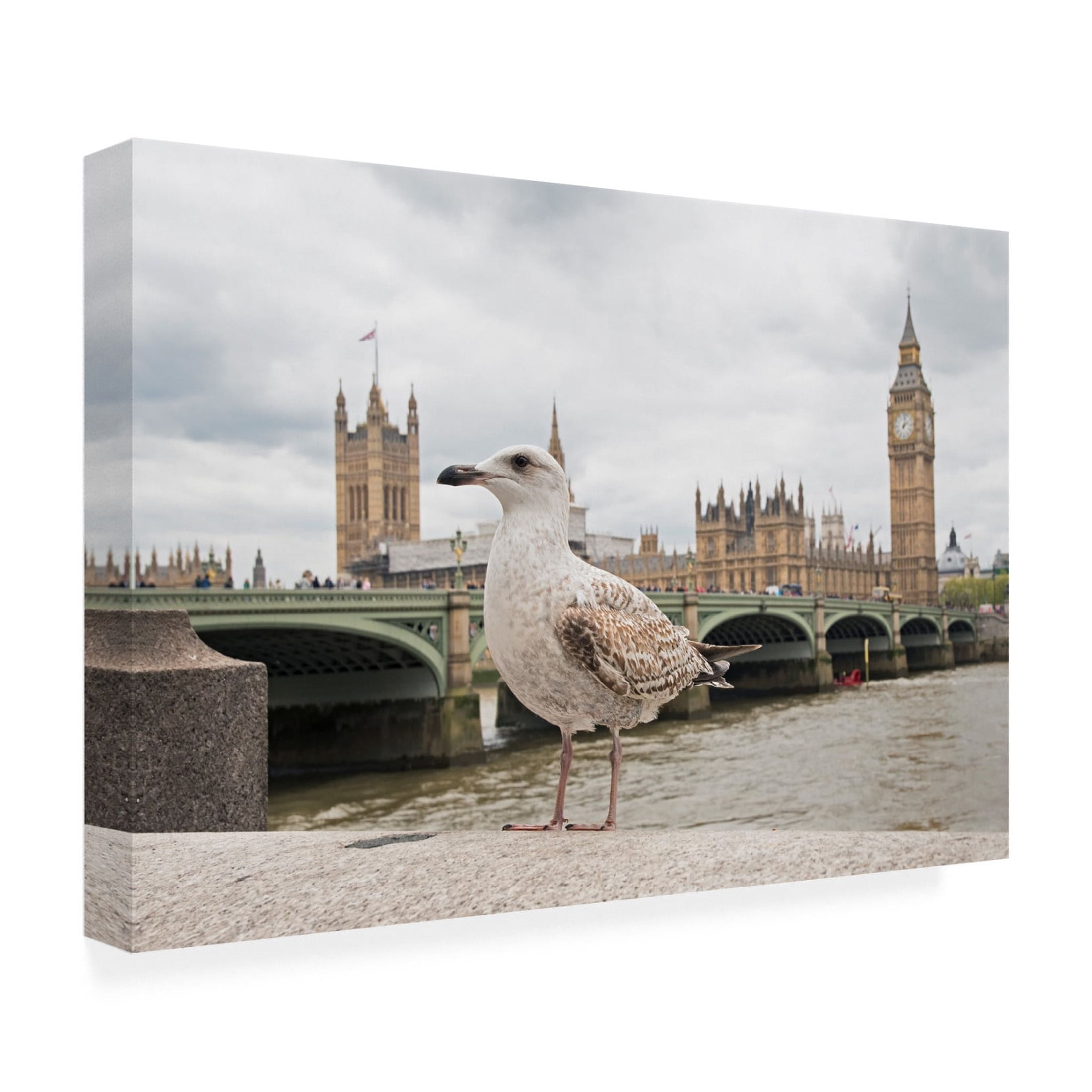 Canvas Wall Art - Marco Pozzi 'The Guardian' Wall Art for Living Room, Bedroom, or Office Décor by Trademark Fine Art - 47 x 30 Inches
