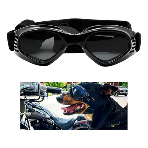 Goggles on Breaking Cool Goggles Adjustable Eye Wear Foldable Portable for Small Dog Medium Dog , Black