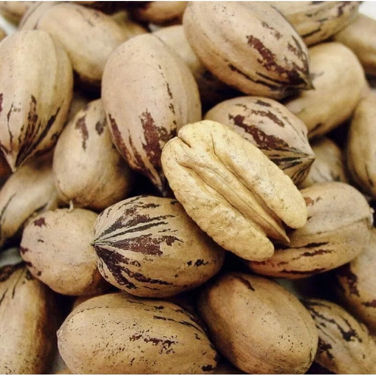 Pecan Shop Raw Texas Native Pecan Halves – 2 Lb Bag, Wild-Harvested, Unpasteurized, Pesticide-Free, Oxygen-Barrier Packed