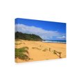 thumbnail image 2 of Beata Czyzowska Young 'Forresters Beach' Canvas Art, 2 of 3