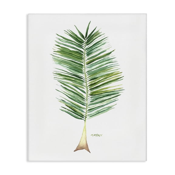 Stupell Industries Contemporary Coconut Palm Fan Greenery Over White Canvas Art, 16 x 20, by Melissa Hyatt