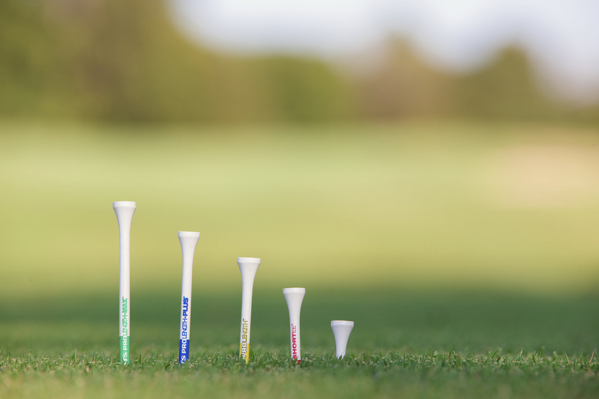 Pride Professional Tee System 2¾" Wood Golf Tees, 100 Count photo 6