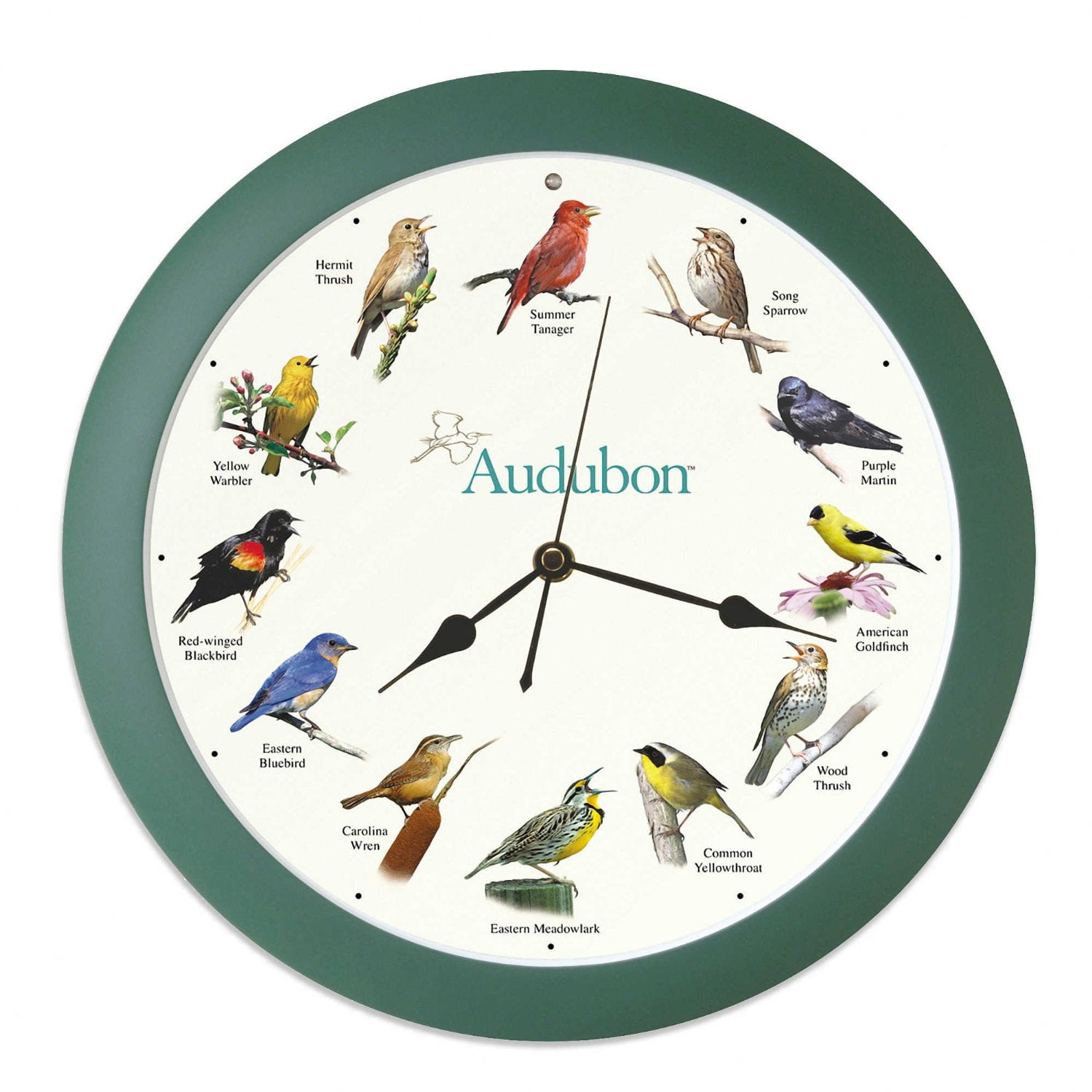 NATIONAL AUDUBON SOCIETY Quartz Singing Bird Clock Oak Wood 13 1/4'' Beautiful 