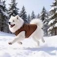 thumbnail image 4 of SIfdSeng Veste Gilet Petits Manteaux pour l'Hiver Temps Froid Veste Chaude Manteau Chiot Vestes Rouges Manteaux Chat, 4 of 7