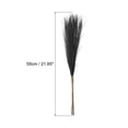 thumbnail image 2 of Uxcell 12Pcs Faux Pampas Grass 21" Fake Pampas for Wedding Decoration Black, 2 of 7