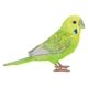 thumbnail image 4 of Figura Hi-Line Budgerigar con pie de hierro verde, poliresina, 4 of 8