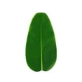 thumbnail image 4 of Lierteer Artificial Plant Leaves Banana Leaf Tropical Leaves Decorations Luau Safari Party Supplies Jungle Beach Theme Decorations 4PCS-Large, 4 of 8