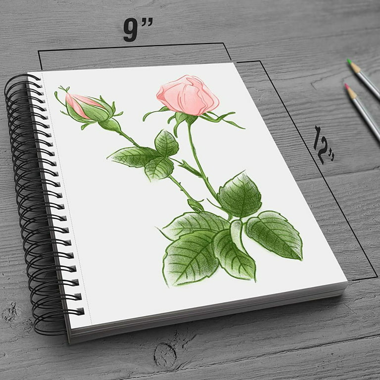 Sketch Book: Rose Sketchbook Scetchpad for Drawing or Doodling