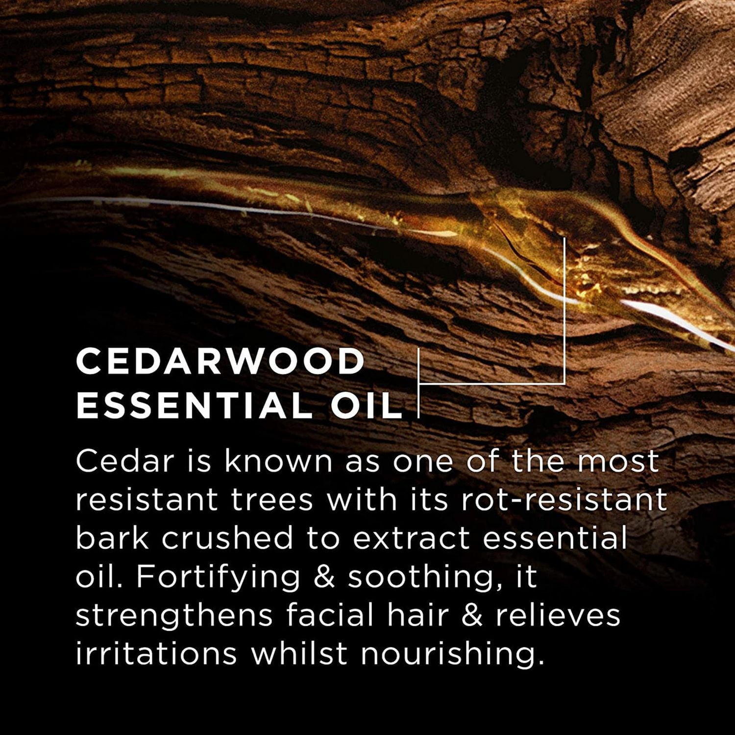 L'Oreal Paris Men Expert 4 in 1 solid shampoo and body wash, PH balanced, Barber Club, 80 gram