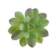 thumbnail image 3 of Planta De Flor De Loto De Piedra Suculenta Artificial Decoración De Mesa De Jardín Para El Hogar Verde, 3 of 5