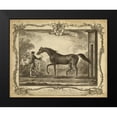 thumbnail image 2 of Unknown 14x12 Black Modern Framed Museum Art Print Titled - Distinguished Horses IV, 2 of 5