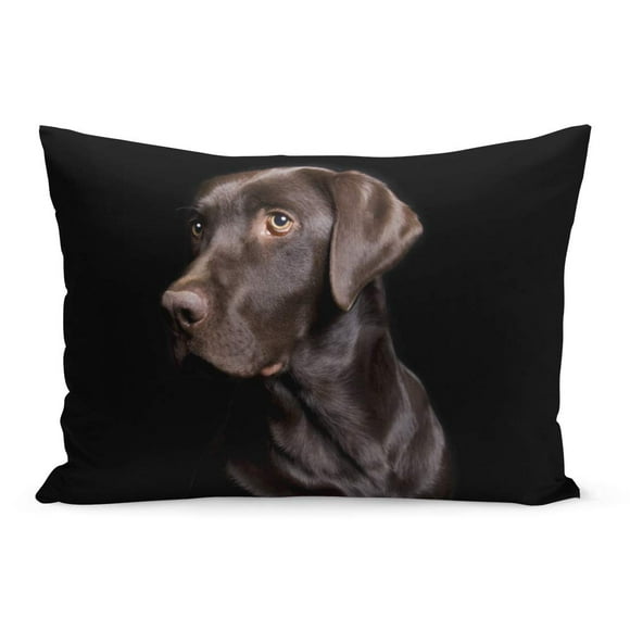 BOSDECO Brown Dog Low Key of Chocolate Lab on Black Pillowcase Pillow Cover Cushion Case 20x30 inch