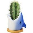 thumbnail image 1 of Ceramic Plant Pot Indoor - shark, 1 of 5