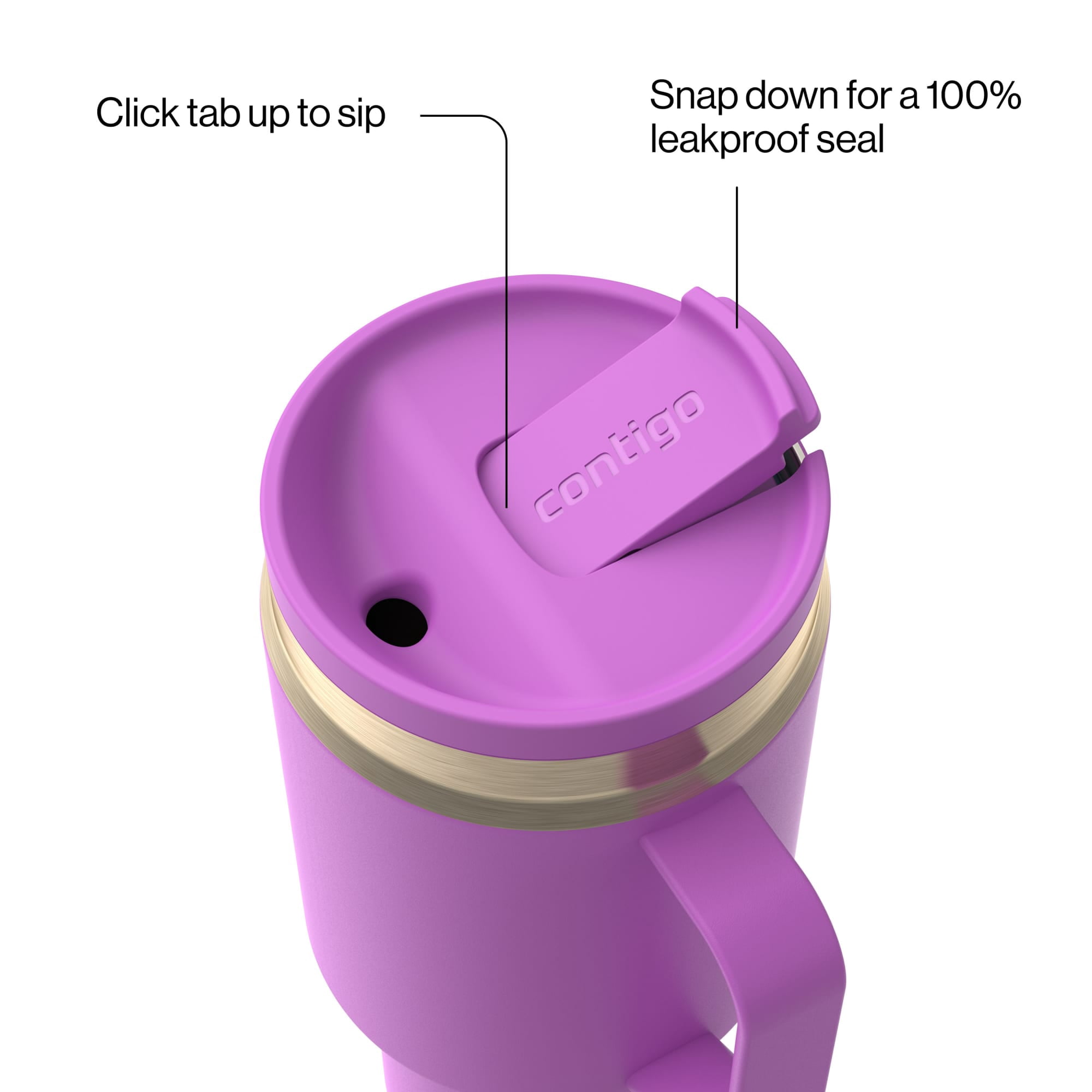Contigo 30 oz Stainless Steel Water Bottle Tumbler with Straw – Leak-Proof Insulated Travel Mug, Reusable Water Bottle, Side Handle, Purple/Champagne