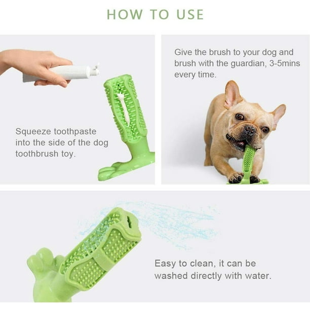 Dog 2024 bites toothbrush