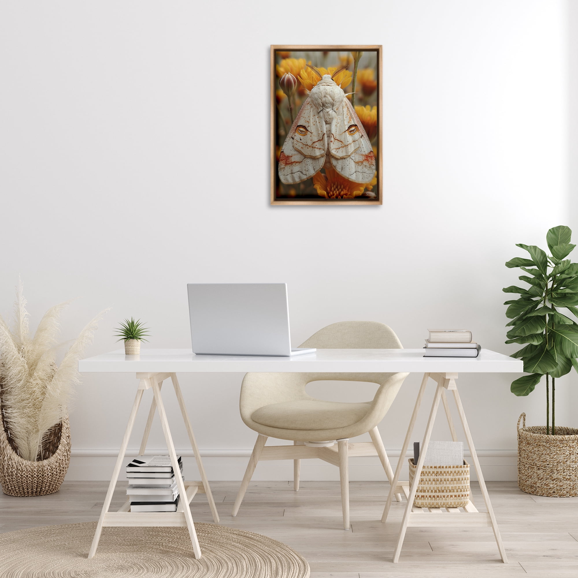Stupell Industries Delicate Luna Moth Animals & Insects Painting Brown Floater Framed Canvas Art Print Wall Art, 17 x 25