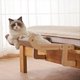 thumbnail image 4 of Cat hammock universal cat hammock for all seasons Gray, 4 of 5