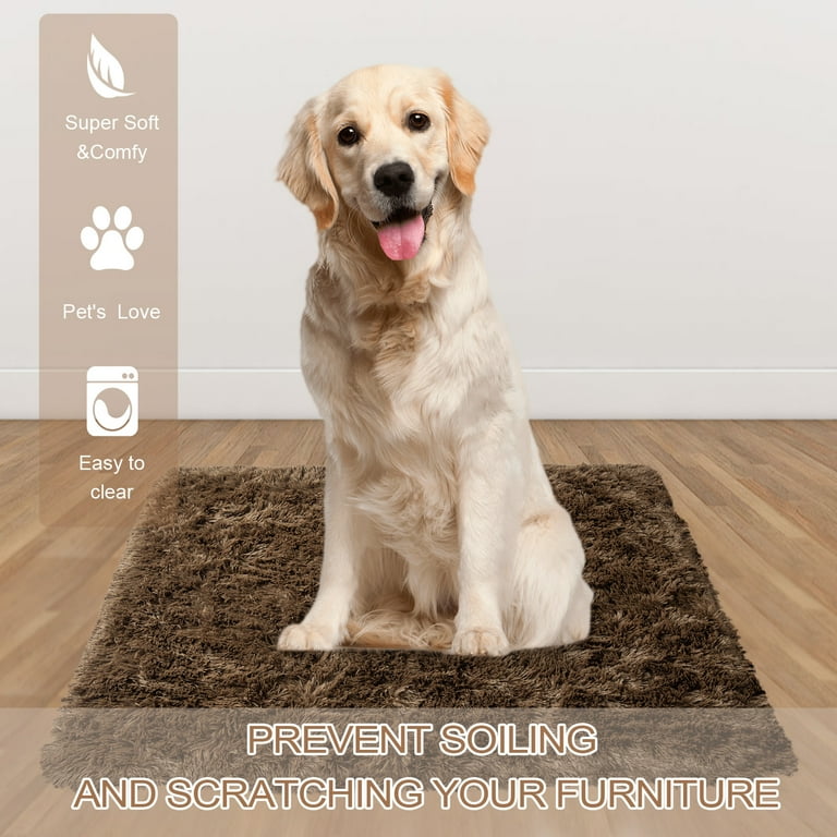 Dog hotsell scratching blanket