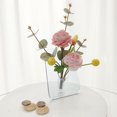 thumbnail image 4 of Transparent Flower Vase, Stable Beautiful Acrylic Photo Frame Vase Hydroponic  for Home for Coffee Table, 4 of 8